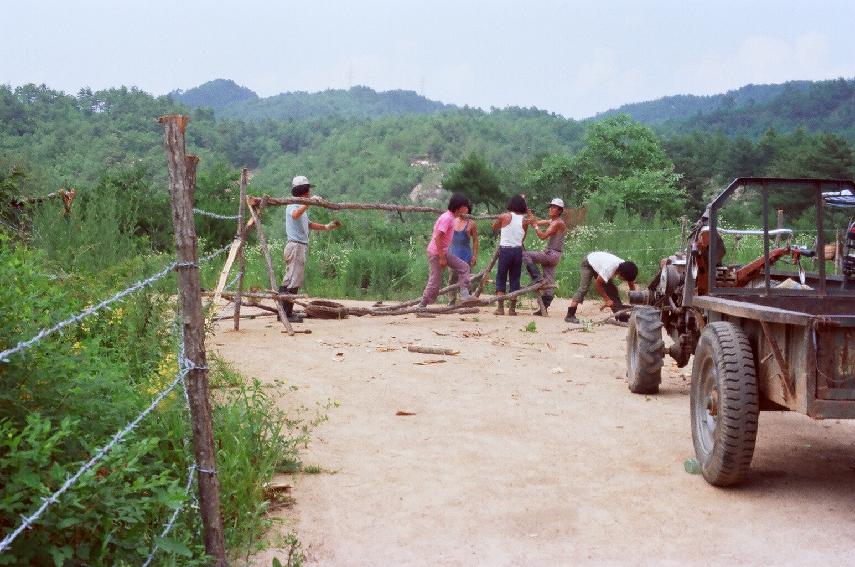 한우 방목장 의 사진