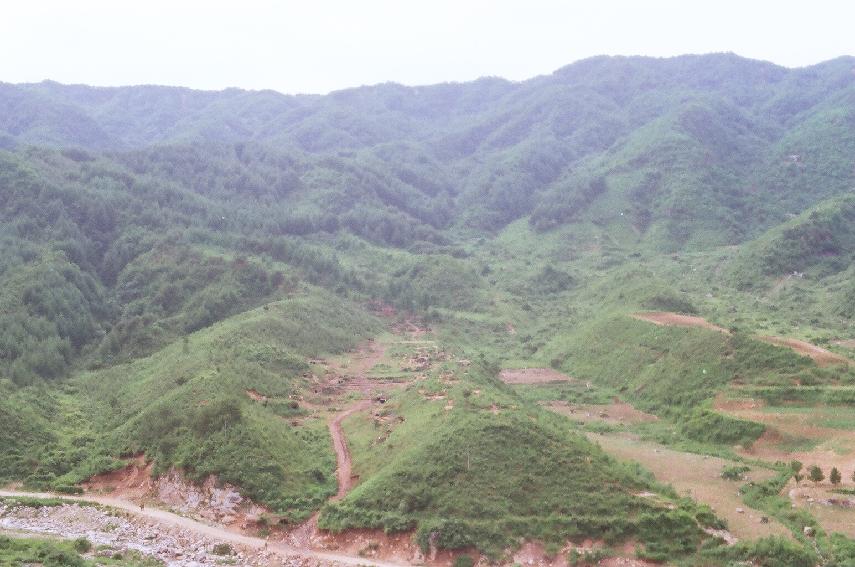 한우 방목장 의 사진