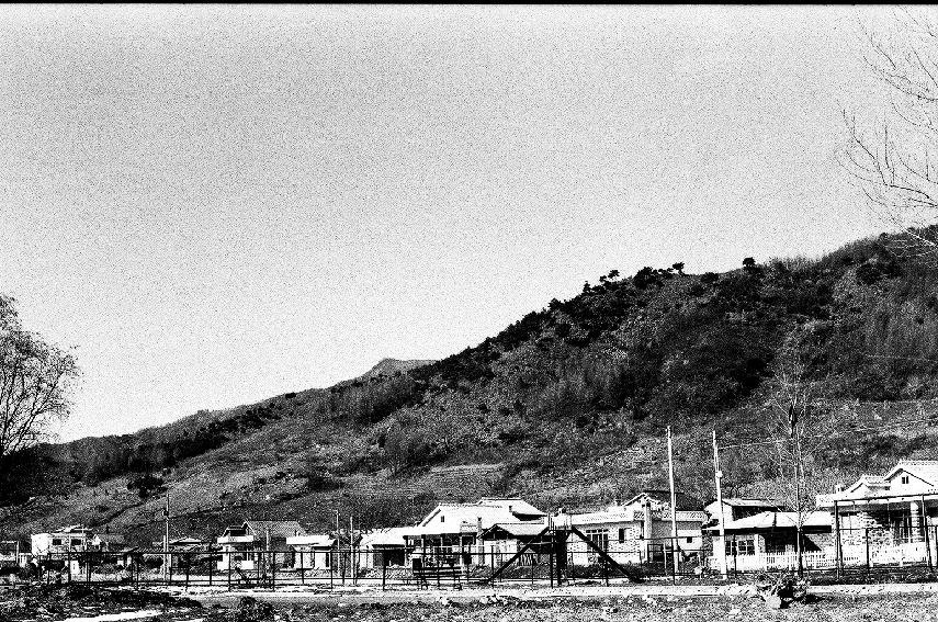 서오지리마을 전경 의 사진