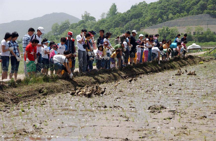 제4회 삼성전기의날 행사 의 사진