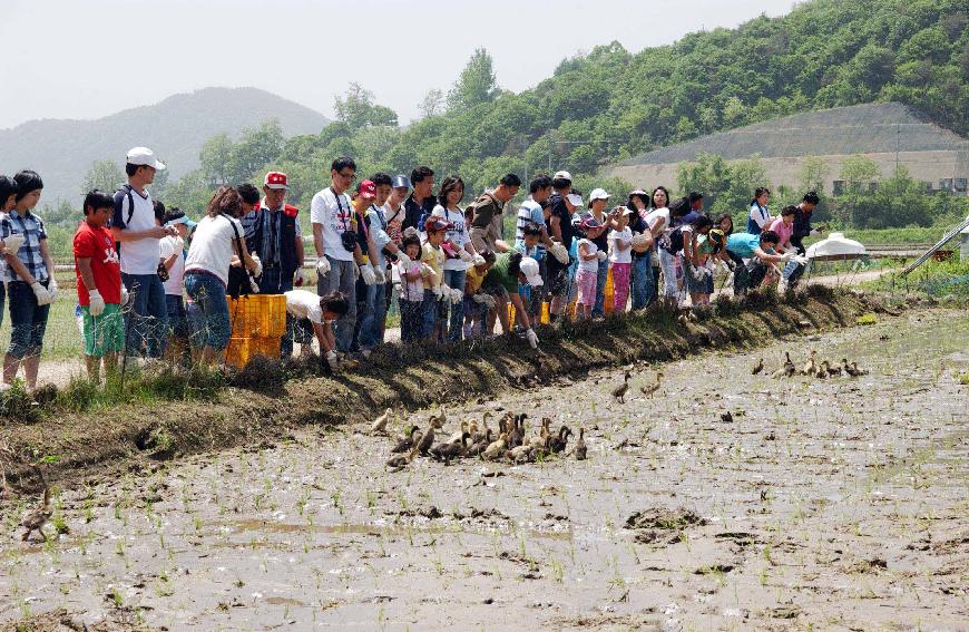 제4회 삼성전기의날 행사 의 사진