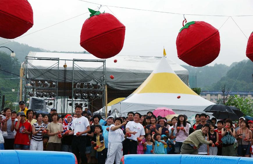 제5회 화천 화악산 토마토축제 각종행사 의 사진