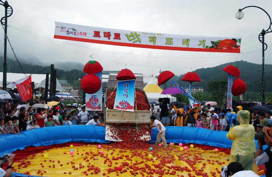 제5회 화천 화악산 토마토축제 각종행사 의 사진