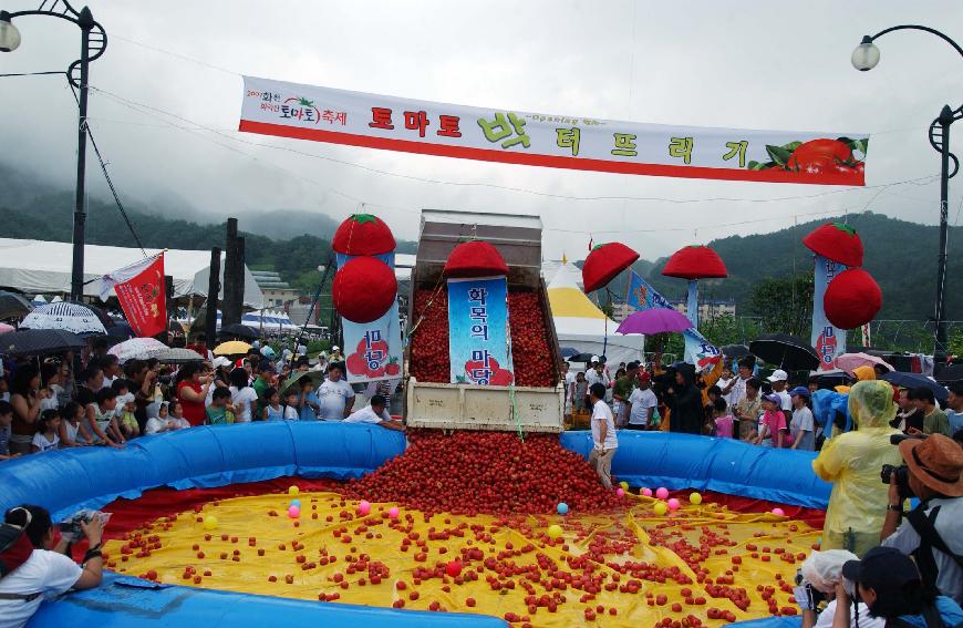 제5회 화천 화악산 토마토축제 각종행사 의 사진