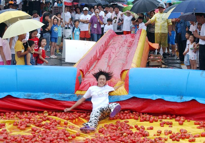 제5회 화천 화악산 토마토축제 각종행사 의 사진