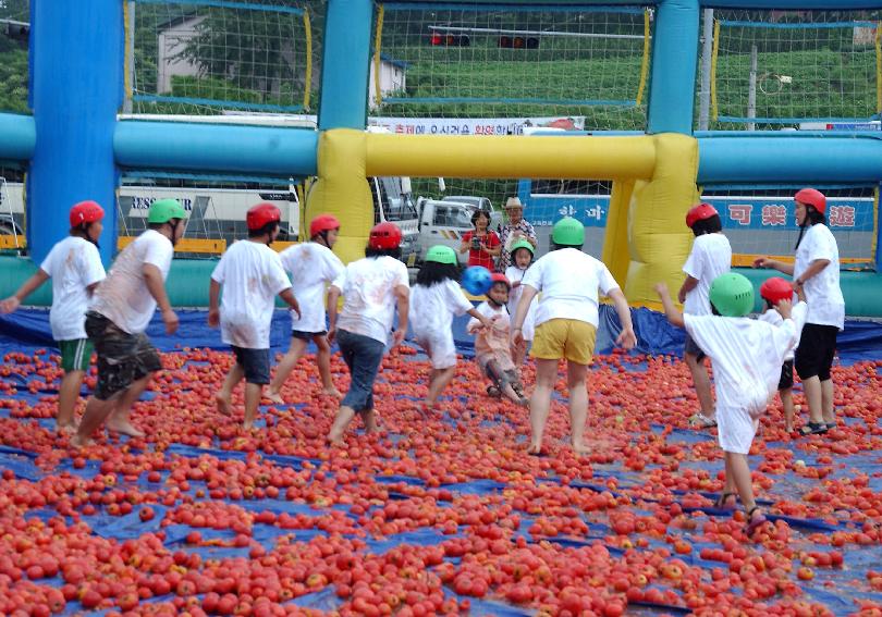 제5회 화천 화악산 토마토축제 각종행사 의 사진