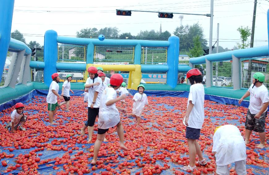 제5회 화천 화악산 토마토축제 각종행사 의 사진