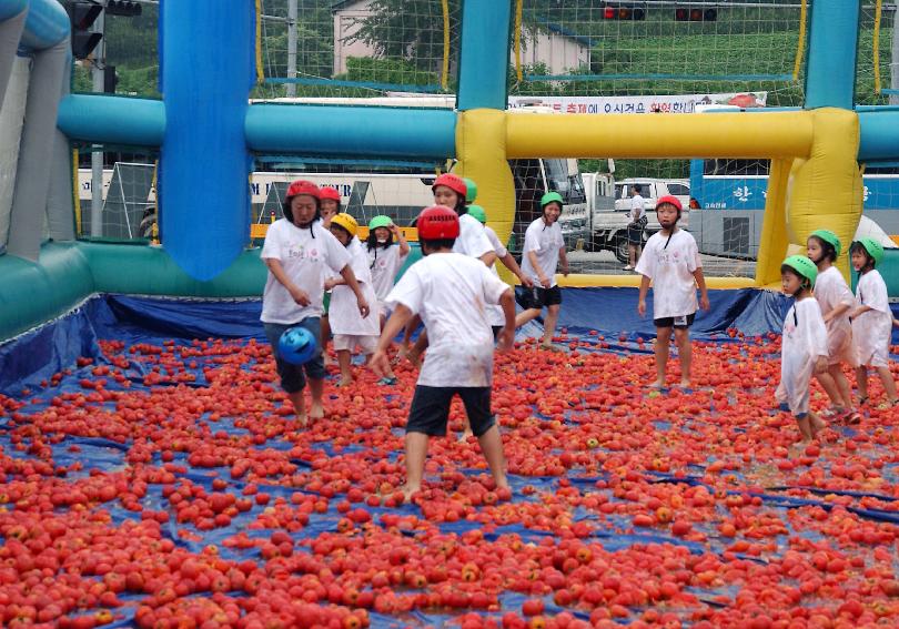 제5회 화천 화악산 토마토축제 각종행사 의 사진