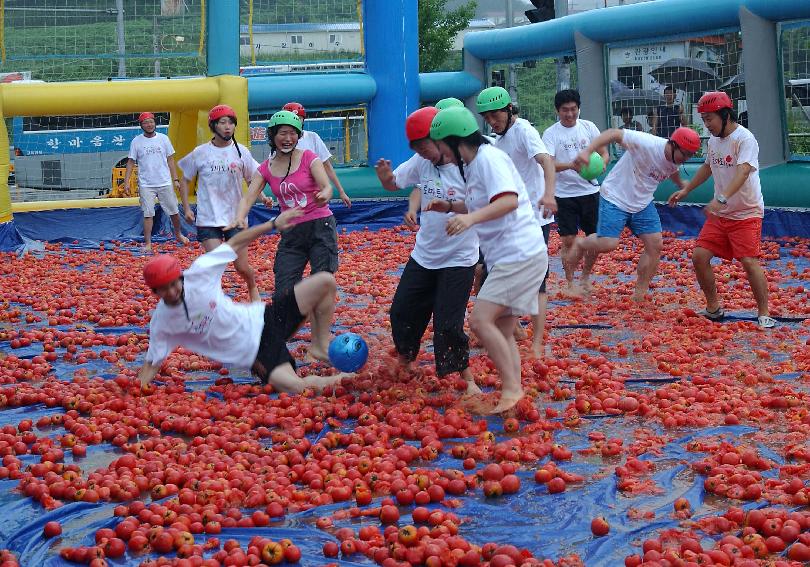 제5회 화천 화악산 토마토축제 각종행사 의 사진