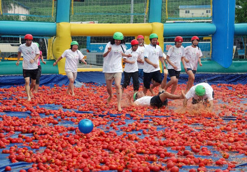 제5회 화천 화악산 토마토축제 각종행사 의 사진