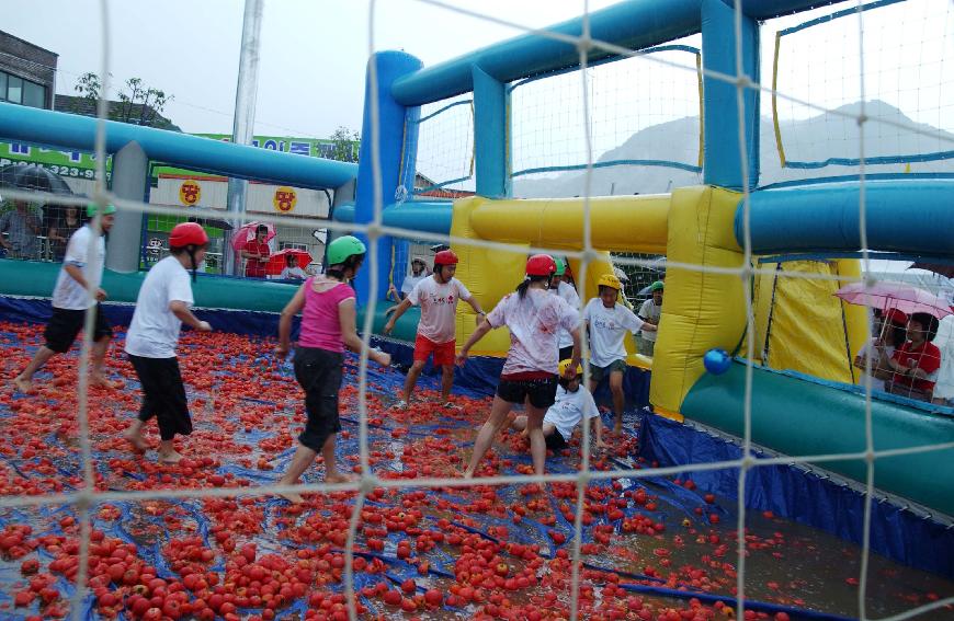 제5회 화천 화악산 토마토축제 각종행사 의 사진