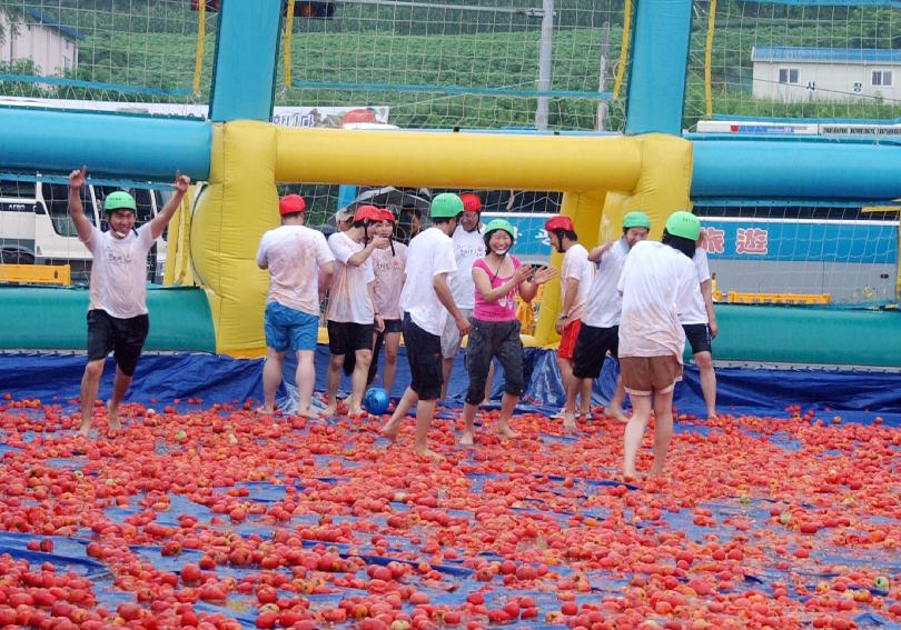 제5회 화천 화악산 토마토축제 각종행사 의 사진