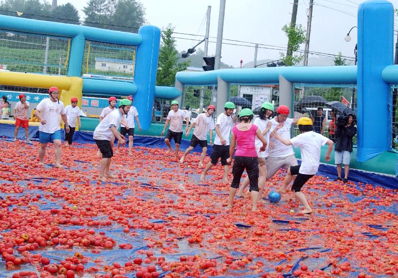 제5회 화천 화악산 토마토축제 각종행사 의 사진