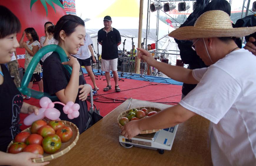 제5회 화천 화악산 토마토축제 각종행사 의 사진