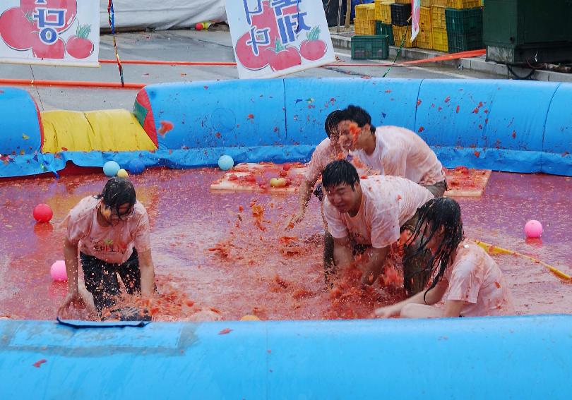 제5회 화천 화악산 토마토축제 각종행사 의 사진