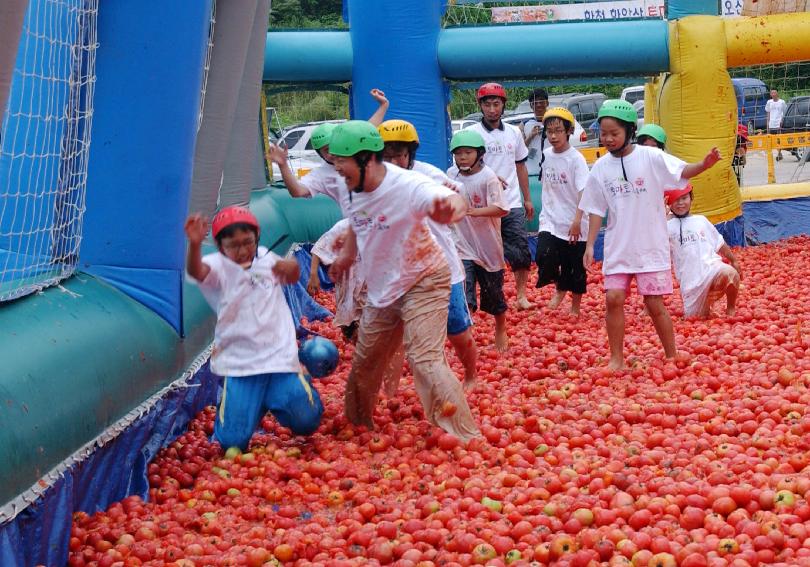 제5회 화천 화악산 토마토축제 각종행사 의 사진