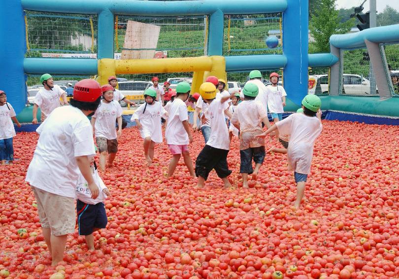 제5회 화천 화악산 토마토축제 각종행사 의 사진