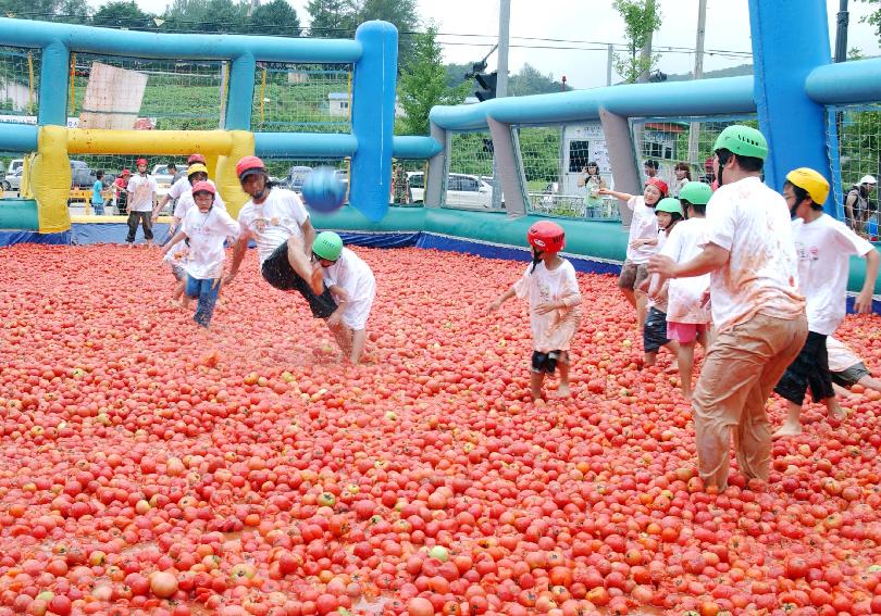 제5회 화천 화악산 토마토축제 각종행사 의 사진