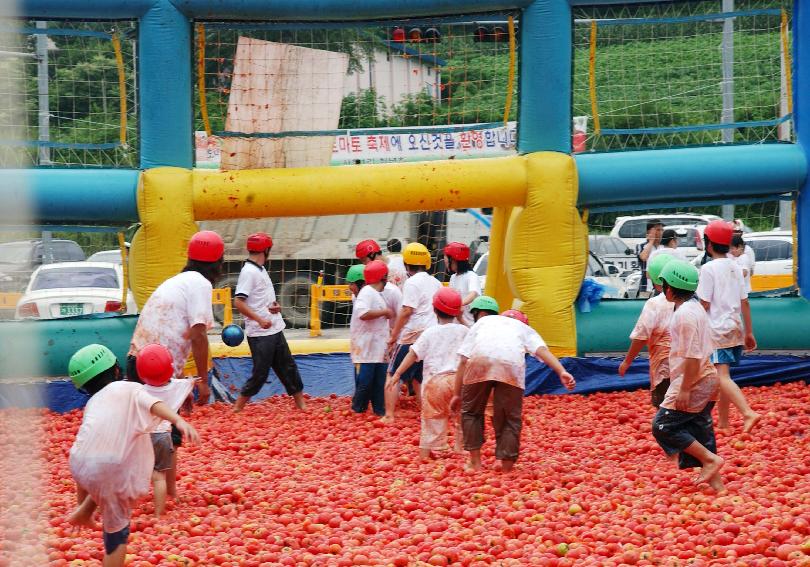 제5회 화천 화악산 토마토축제 각종행사 의 사진