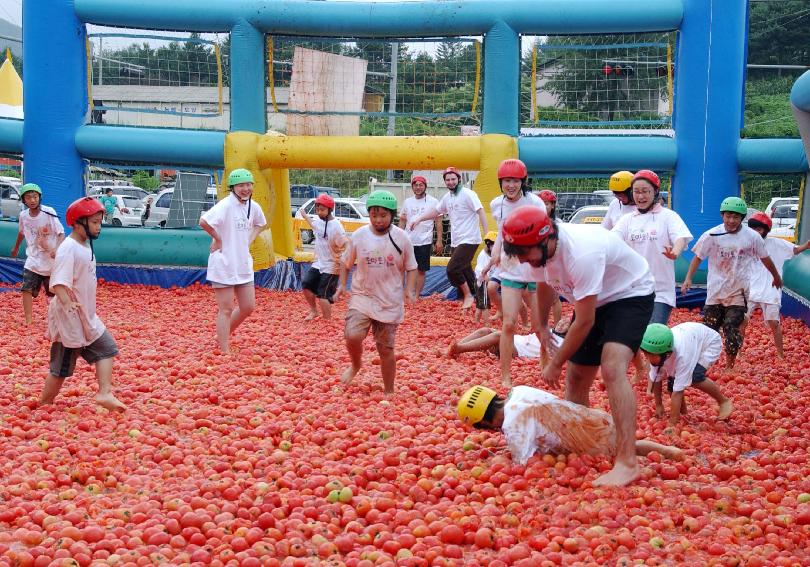 제5회 화천 화악산 토마토축제 각종행사 의 사진