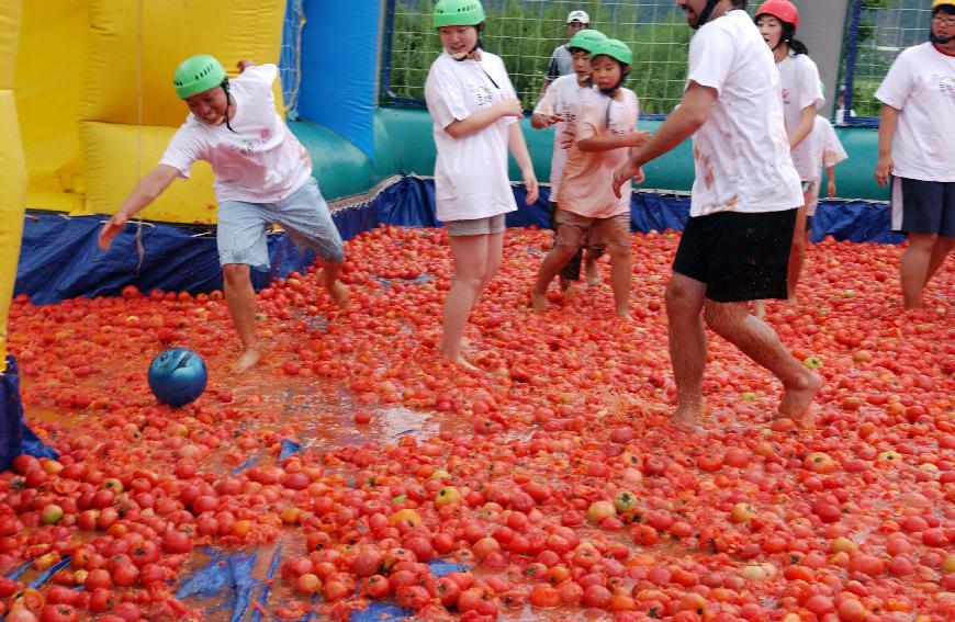 제5회 화천 화악산 토마토축제 각종행사 의 사진