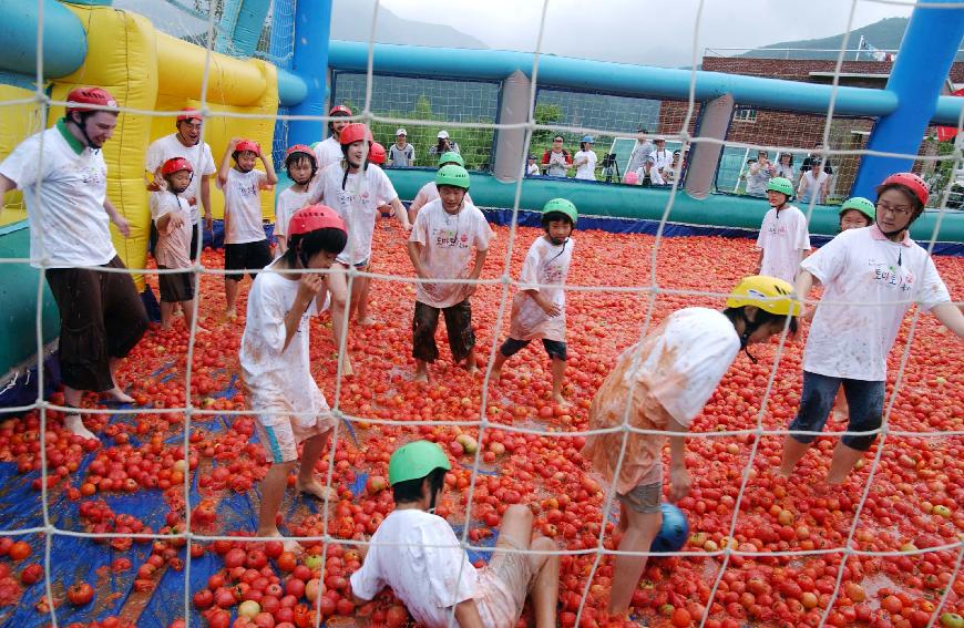 제5회 화천 화악산 토마토축제 각종행사 의 사진