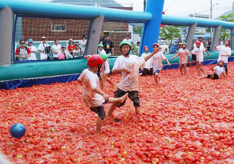 제5회 화천 화악산 토마토축제 각종행사 의 사진