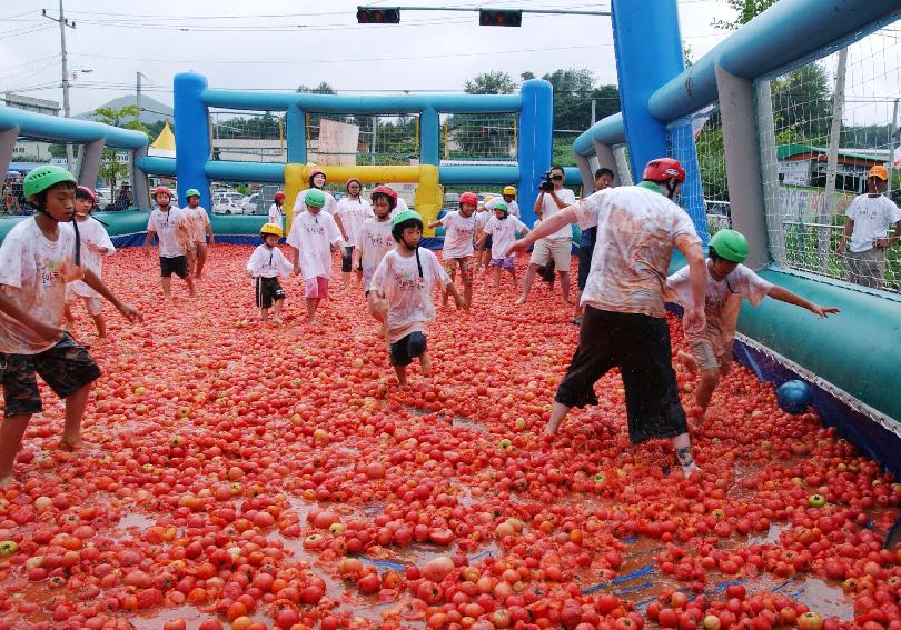 제5회 화천 화악산 토마토축제 각종행사 의 사진