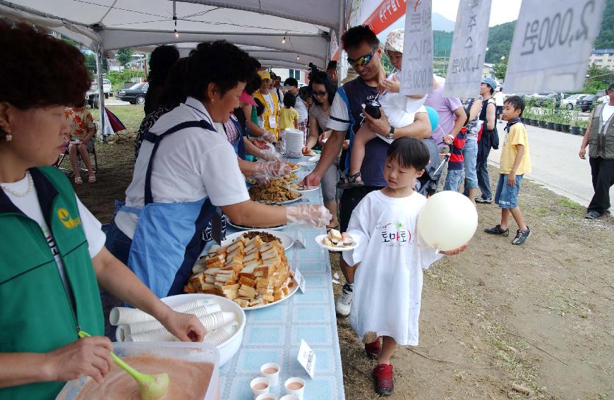 제5회 화천 화악산 토마토축제 각종행사 의 사진