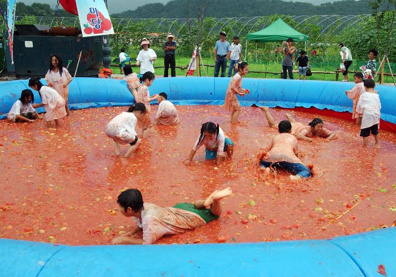 제5회 화천 화악산 토마토축제 각종행사 의 사진