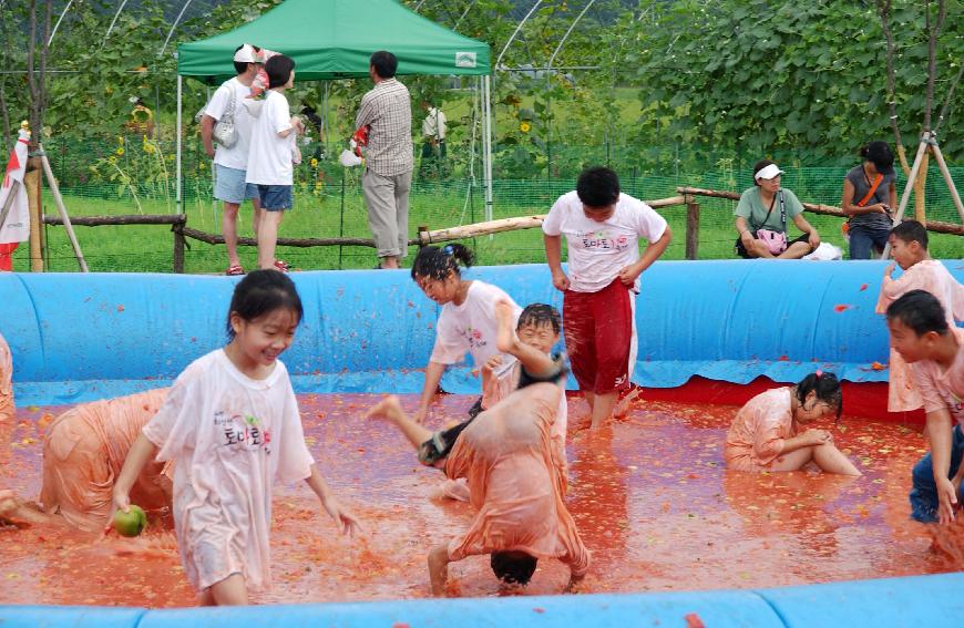 제5회 화천 화악산 토마토축제 각종행사 의 사진