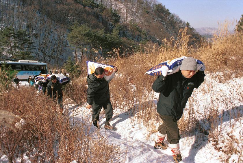 야생동물먹이주기 사진