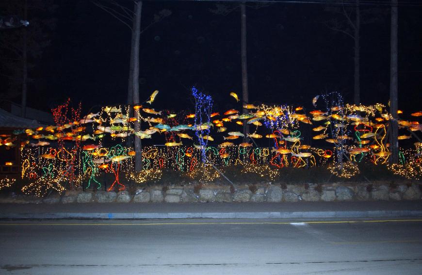 2008산천어축제 산천어낚시,산천어등 전경 의 사진