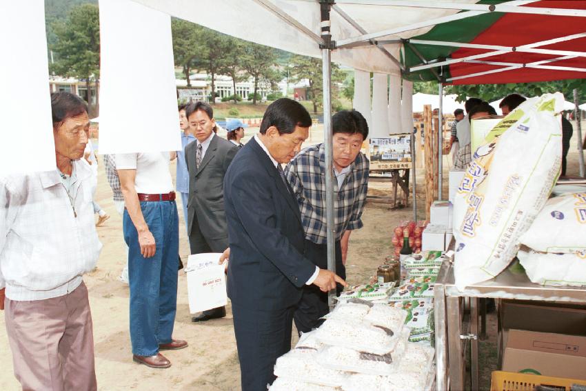 토고미 오리쌀 축제 의 사진