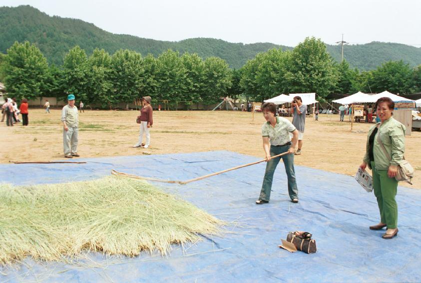 토고미 오리쌀 축제 의 사진