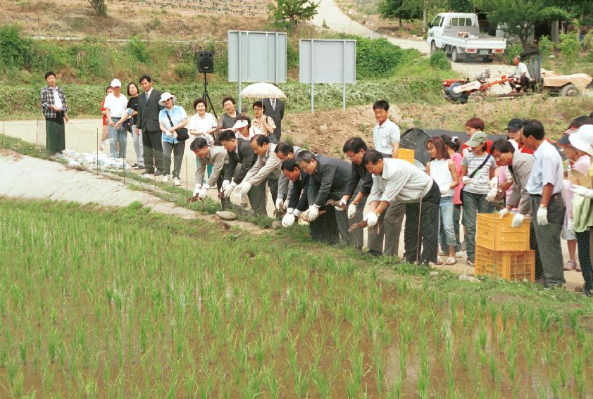 토고미 오리쌀 축제 사진