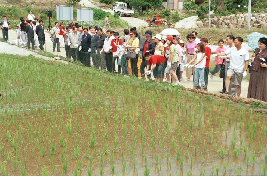 토고미 오리쌀 축제 의 사진