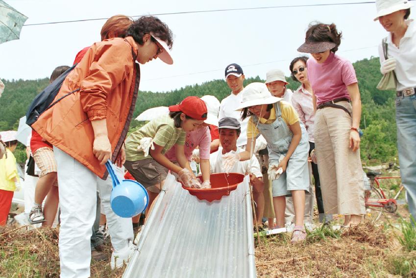 토고미 오리쌀 축제 의 사진