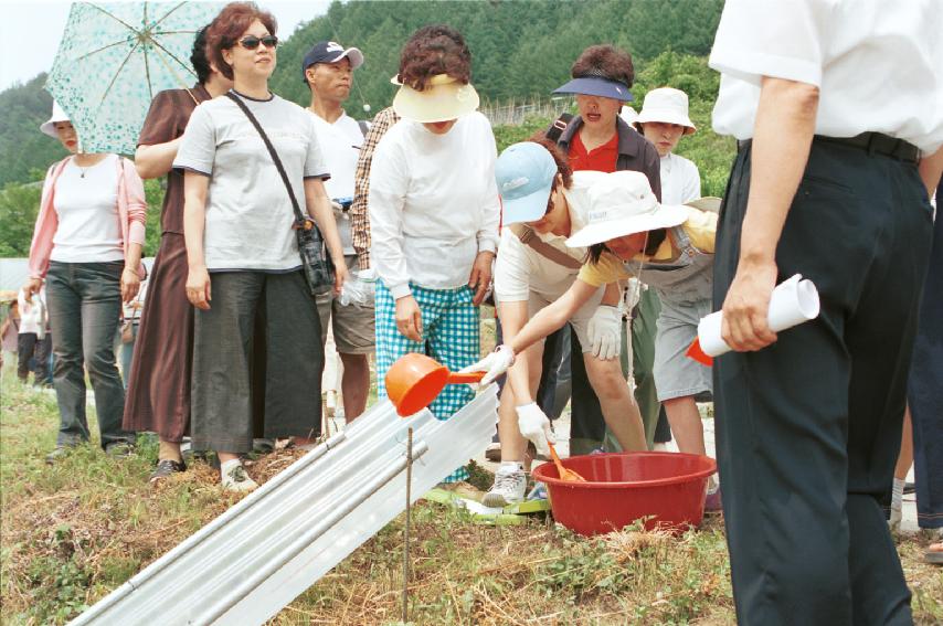 토고미 오리쌀 축제 의 사진