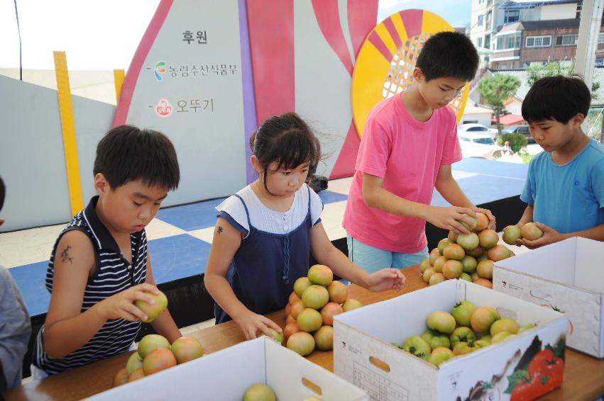 제6회 화천 화악산토마토축제 각종체험행사 의 사진