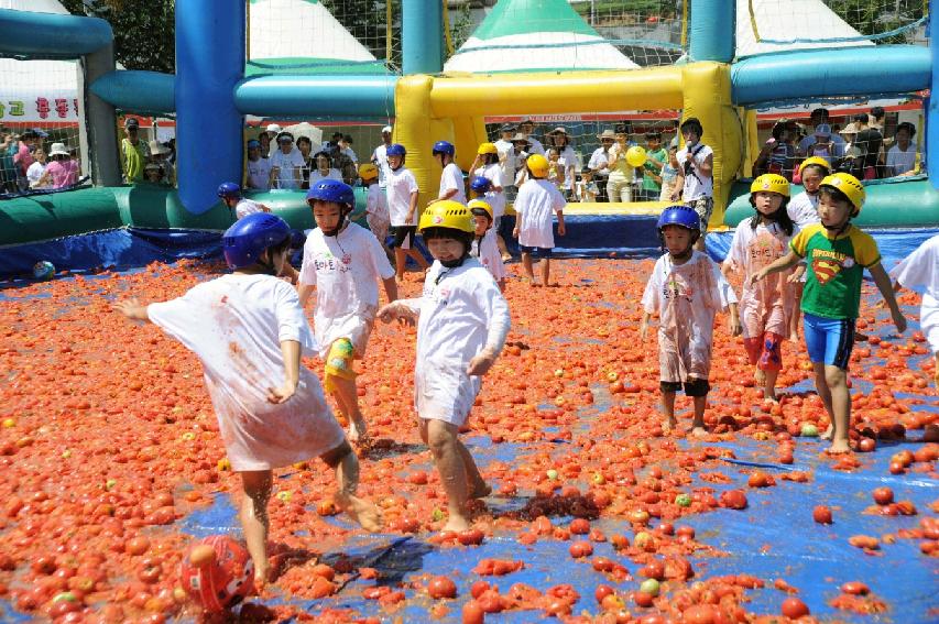 제6회 화천 화악산토마토축제 각종체험행사 의 사진