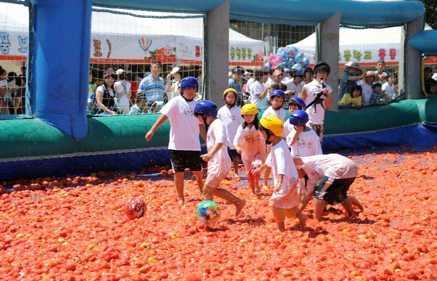 제6회 화천 화악산토마토축제 각종체험행사 의 사진