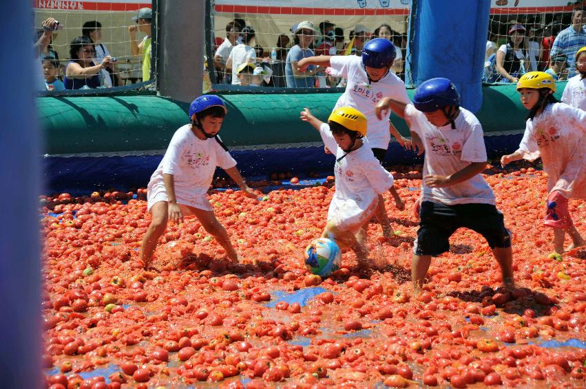 제6회 화천 화악산토마토축제 각종체험행사 의 사진