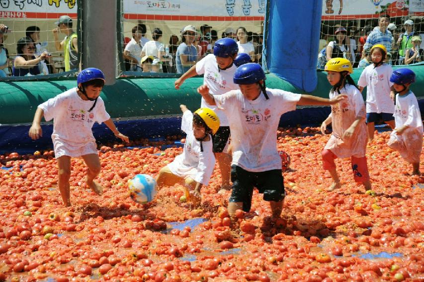 제6회 화천 화악산토마토축제 각종체험행사 의 사진