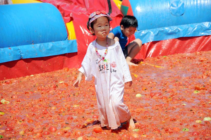 제6회 화천 화악산토마토축제 각종체험행사 의 사진