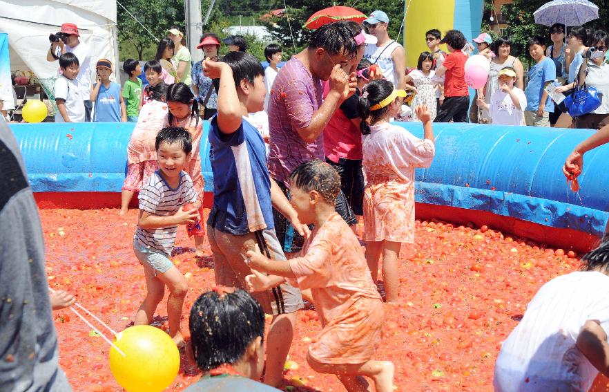 제6회 화천 화악산토마토축제 각종체험행사 의 사진