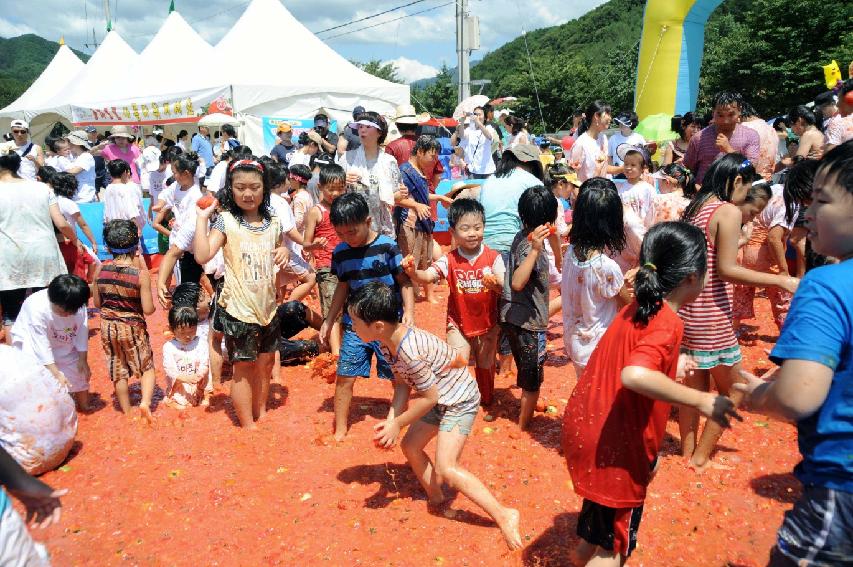 제6회 화천 화악산토마토축제 각종체험행사 의 사진