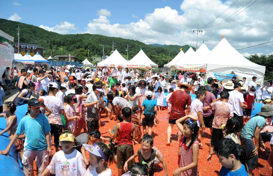 제6회 화천 화악산토마토축제 각종체험행사 의 사진