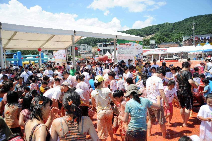 제6회 화천 화악산토마토축제 각종체험행사 의 사진