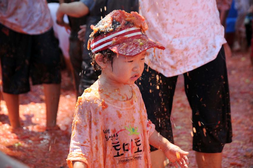 제6회 화천 화악산토마토축제 각종체험행사 의 사진